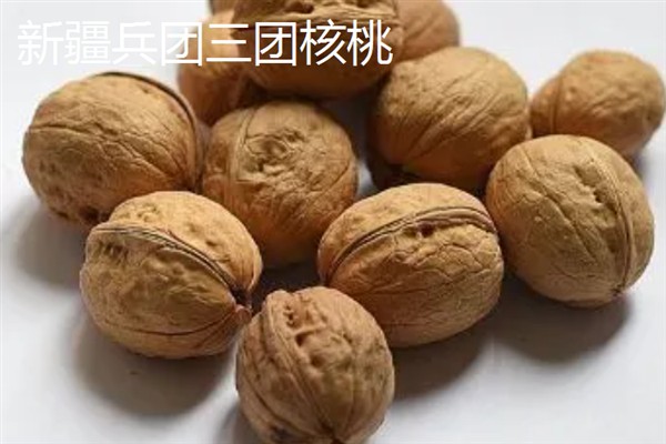 新疆塔城市的特产，乌苏柳花茶被视为茶中极品