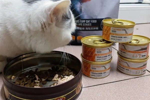 母猫为什么哈气小猫，可能是在训诫小猫