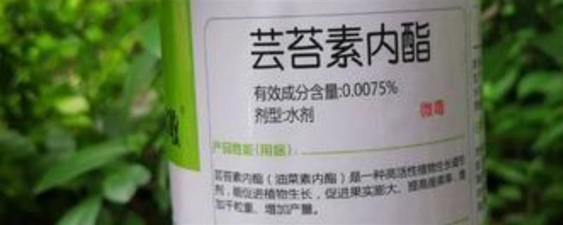 芸苔素的使用方法，可以叶面喷施也可拌种