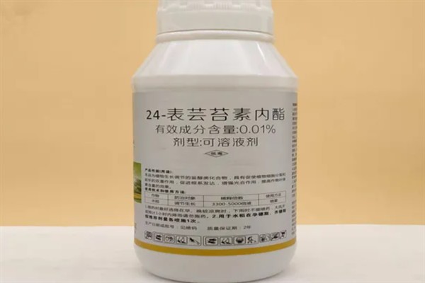 芸苔素的使用方法，可以叶面喷施也可拌种