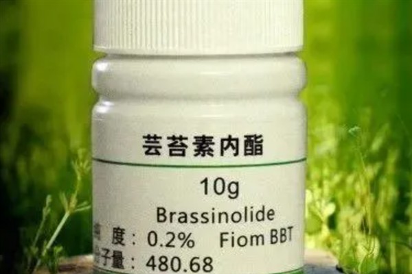 芸苔素的使用方法，可以叶面喷施也可拌种