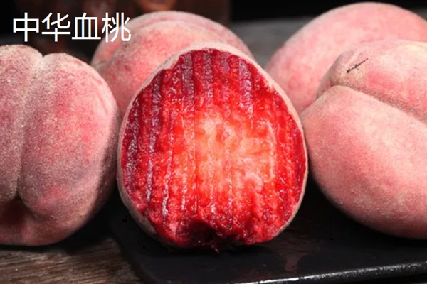 血桃的成熟上市时间，一般为每年5-6月份
