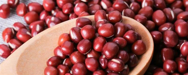 红豆和赤小豆的区别，品种以及果实均不同
