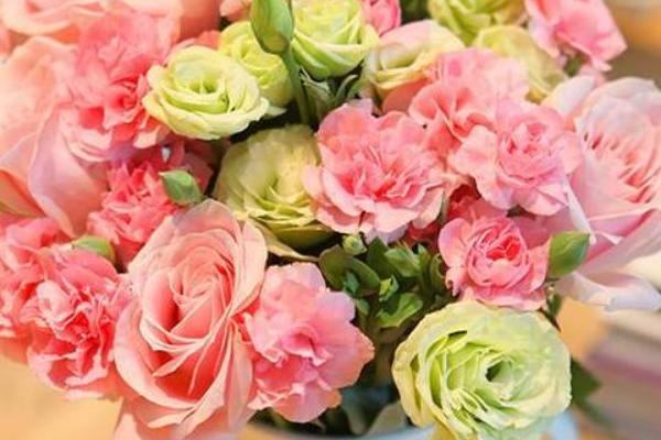 粉色桔梗花有什么花语，代表永恒的爱情、无望的爱