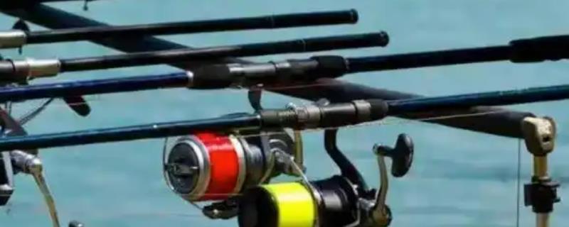 无铅漂的适钓鱼种,垂钓青鱼、鲤鱼、鲢鳙等品种均适合使用