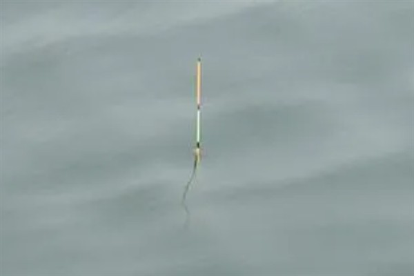 无铅漂的适钓鱼种,垂钓青鱼、鲤鱼、鲢鳙等品种均适合使用