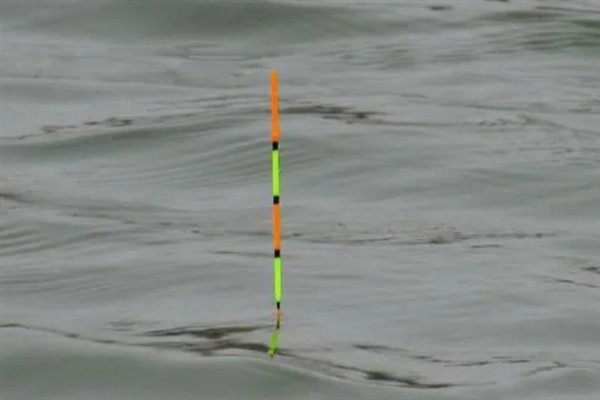 无铅漂的适钓鱼种,垂钓青鱼、鲤鱼、鲢鳙等品种均适合使用