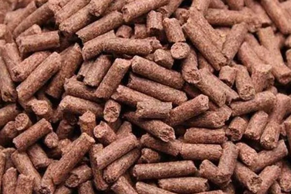 红虫颗粒能不能钓到鱼，作为窝料使用具有较好的效果