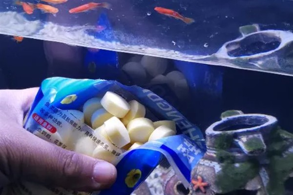 鱼身上被咬烂了怎么处理，要先把受伤的鱼捞出来