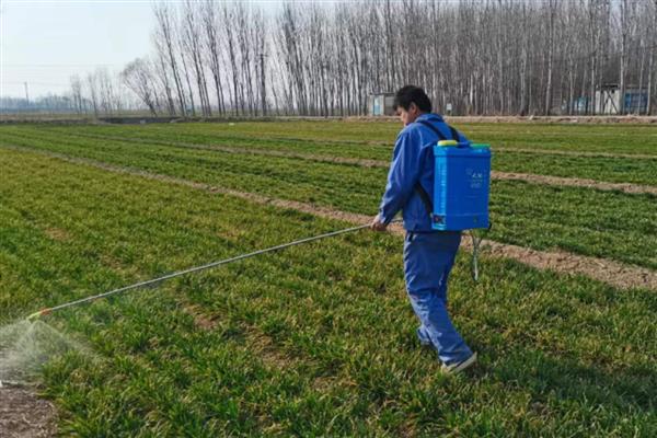 小麦除草剂可以和叶面肥混打吗，除草剂不可和叶面肥混合打