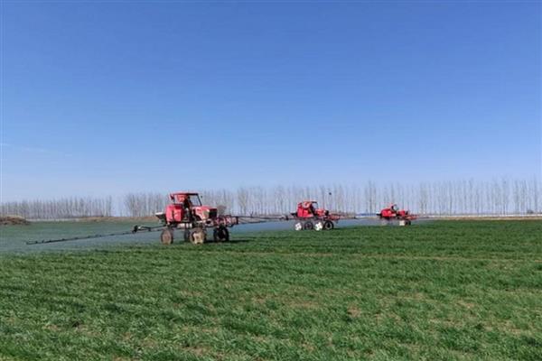 小麦除草剂可以和叶面肥混打吗，除草剂不可和叶面肥混合打