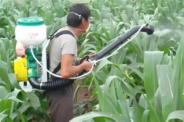 玉米控旺剂能和叶面肥一起使用吗，可以但要注意剂量