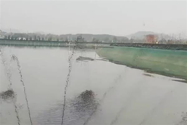 黄颡鱼的养殖方法，放苗后每天投喂2次