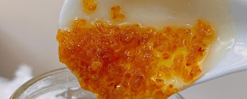 柃木蜜会结晶吗，柃木蜜会结晶
