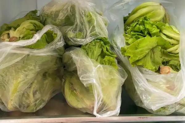 如何去除生菜苦味，可以切段后在清水中浸泡