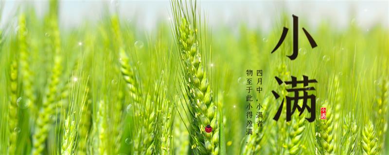 小满是什么节气，是第八个节气