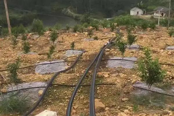 果园漫水灌溉有什么危害，容易引发根系死亡、土壤板结等问题