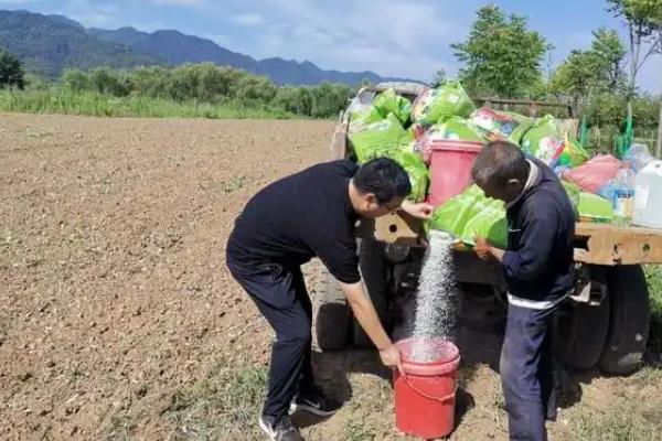 油葵最晚几月份种植，种植时间不要超过8月