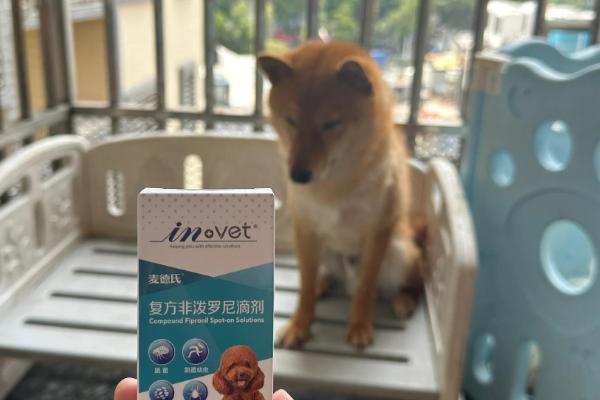 狗狗身上的蜱虫如何驱除，在叮咬处涂抹酒精可让蜱虫自行脱落