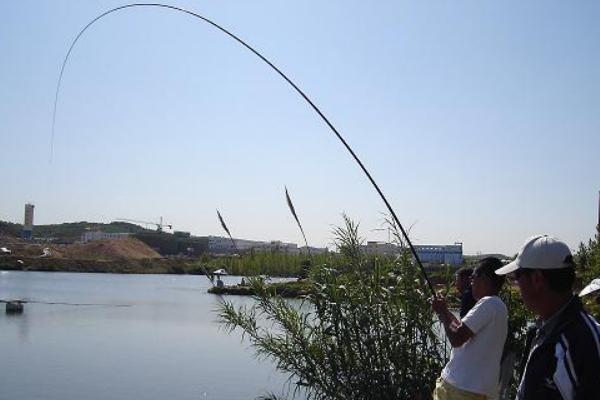 用哪种鱼钩垂钓鲶鱼，伊豆钩、千又钩、丸世钩等钩型均可使用