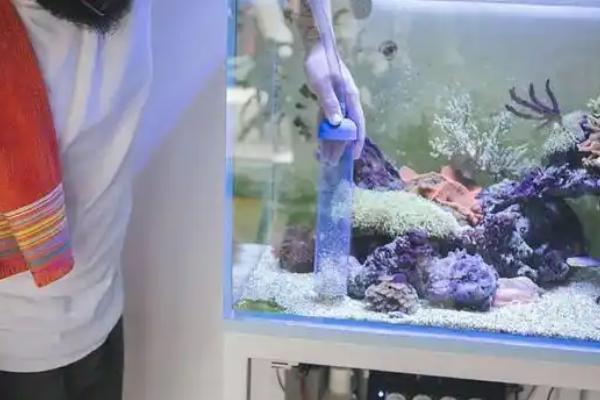 鱼缸换水温差大怎么处理，温度高则加入适量冷水