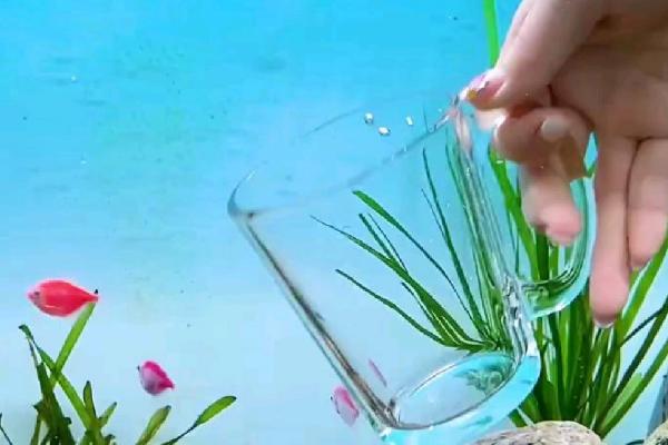 鱼缸换水温差大怎么处理，温度高则加入适量冷水