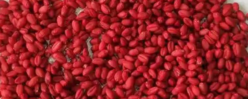 拌种灵有什么作用，拌种后可灭杀种子表面与内部的病原菌
