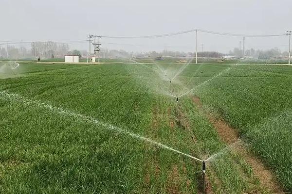 旱田怎么施肥，深施肥料效果更佳