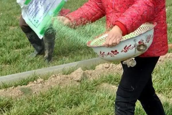 怎么通过包装袋区分硝硫基复合肥，可以看袋上是否标注含缩二脲等字样