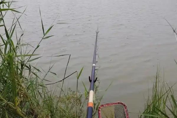 钓青鱼是钓浮还是钓底，一般情况下建议钓底