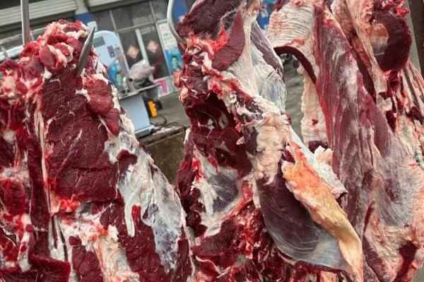 养牛的风险，包括肉牛来源、养殖技术等