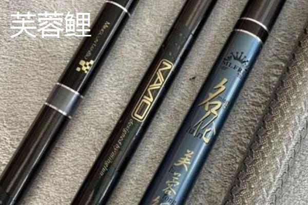 罗非竿推荐品牌，达亿瓦、本汀、中逵等品牌值得信赖