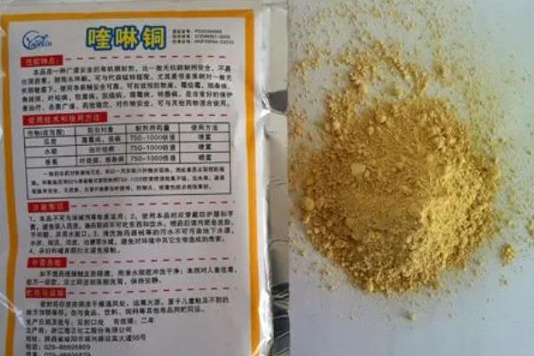 喹啉铜能不能和杀虫剂一起用，与杀虫剂、杀菌剂、除草剂等药物混用可提高防效