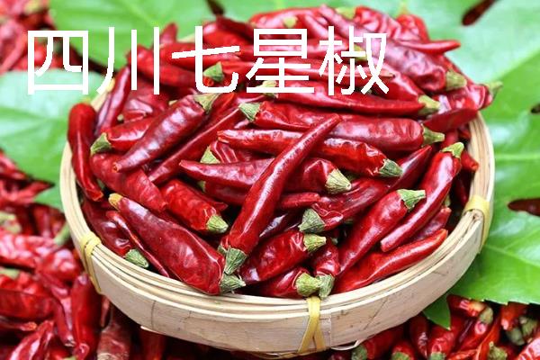 秋季适合种什么辣椒，大辣椒、线椒、甜椒等品种均可选择