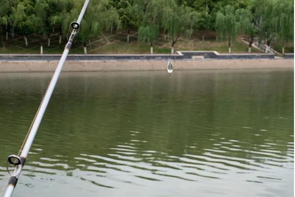 野钓白条鱼怎么调漂，重铅找底后修剪铅皮直至浮漂与水面平行