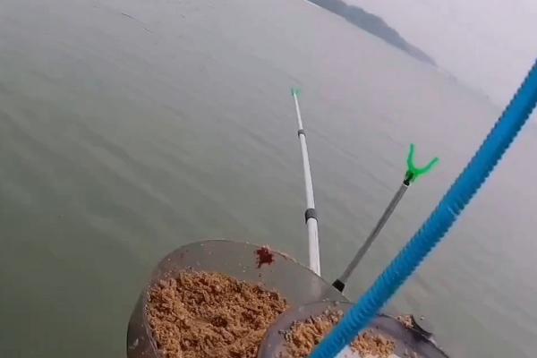 野钓白条鱼怎么调漂，重铅找底后修剪铅皮直至浮漂与水面平行