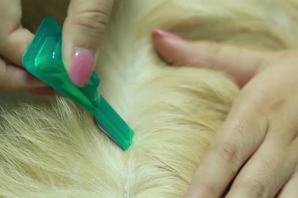 狗狗多久体外驱虫一次，幼犬建议每月进行一次