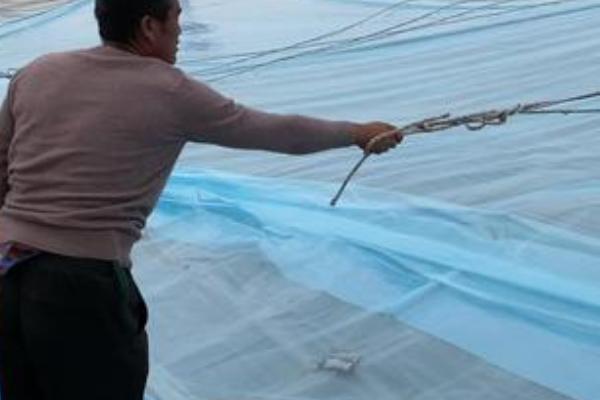 棚膜怎么除尘，高温季节建议用水冲