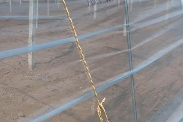 棚膜怎么除尘，高温季节建议用水冲
