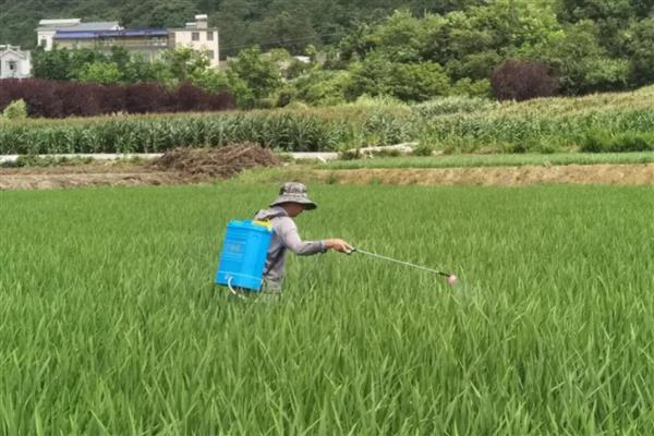 灭草松的防治对象，可灭杀苍耳、问荆、马齿苋等杂草