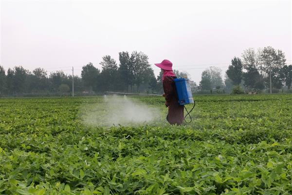 灭草松的防治对象，可灭杀苍耳、问荆、马齿苋等杂草