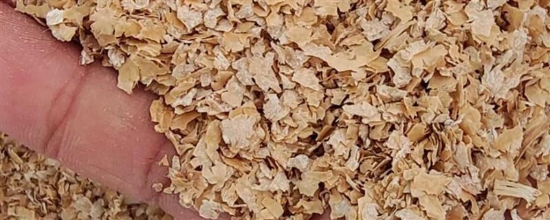 猪饲料里面的麦麸占比，一般要达到10-30%