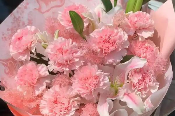 在法国赠送康乃馨的含义，与法语中魔鬼的发音相似代表怨恨嫉妒