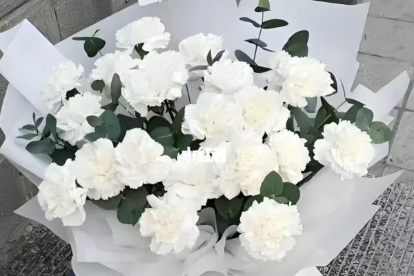 在法国赠送康乃馨的含义，与法语中魔鬼的发音相似代表怨恨嫉妒