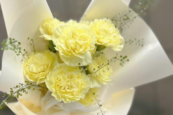 在法国赠送康乃馨的含义，与法语中魔鬼的发音相似代表怨恨嫉妒