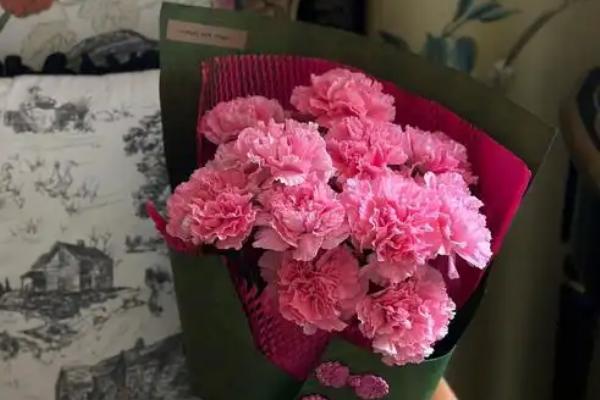 在法国赠送康乃馨的含义，与法语中魔鬼的发音相似代表怨恨嫉妒