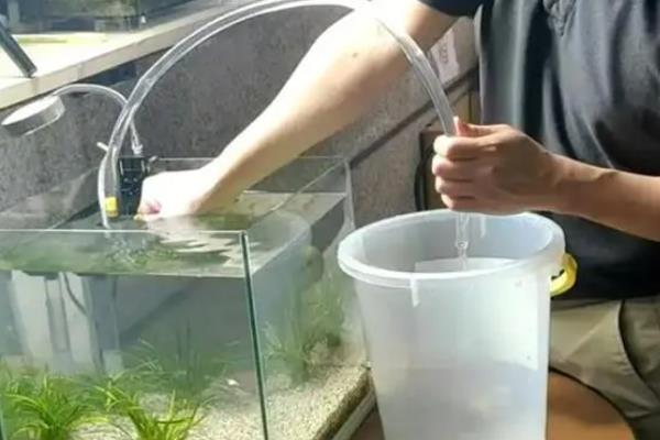 热带观赏鱼的适宜水温，适合保持在18-32℃