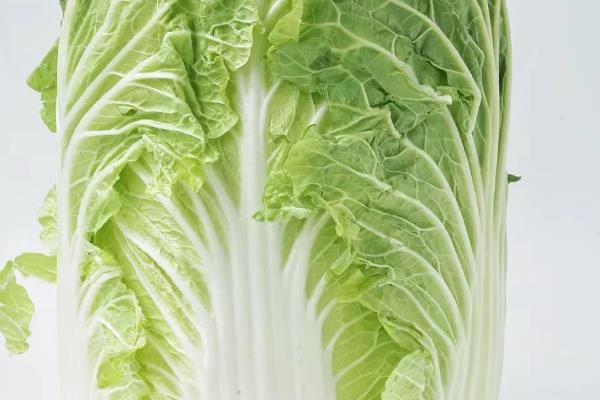 怎样挑选白菜,选择皮薄且棵小的