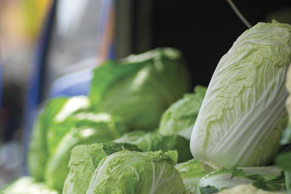 怎样挑选白菜,选择皮薄且棵小的