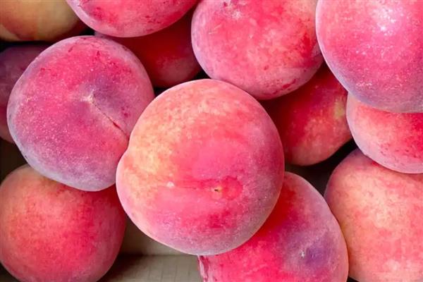 龙泉驿水蜜桃的品质，果形圆而不正